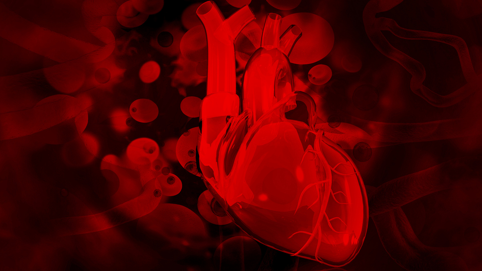 Kalbin 'mini beyni' keşfedildi