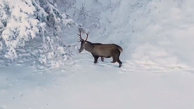  Bakan Yumaklı paylaştı