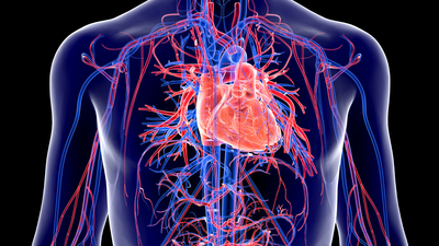 Hava kirliliği, kalp krizi sebebi!