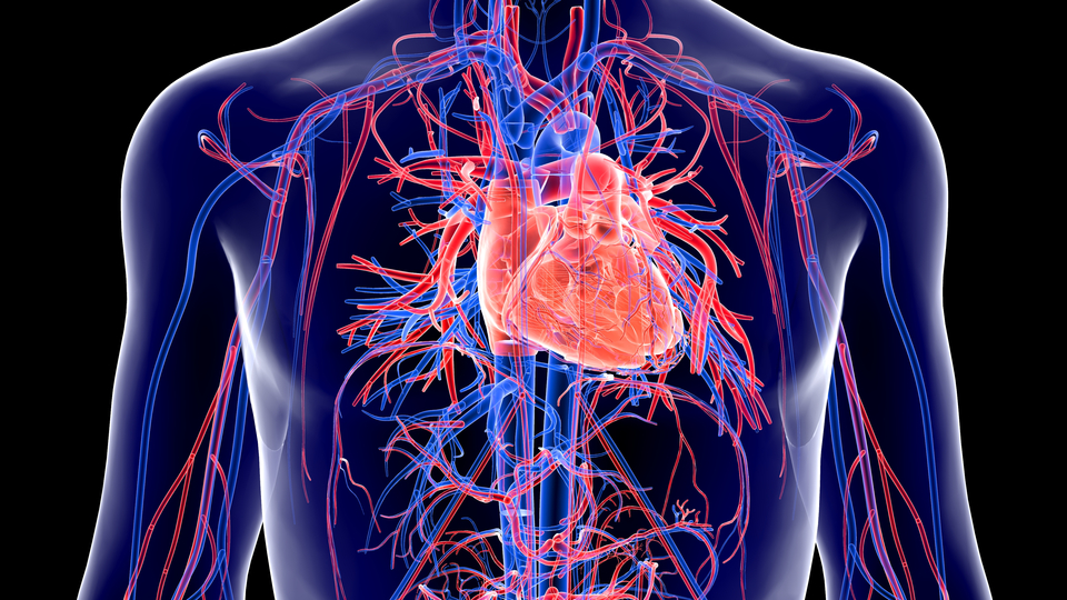 Hava kirliliği, kalp krizi sebebi!