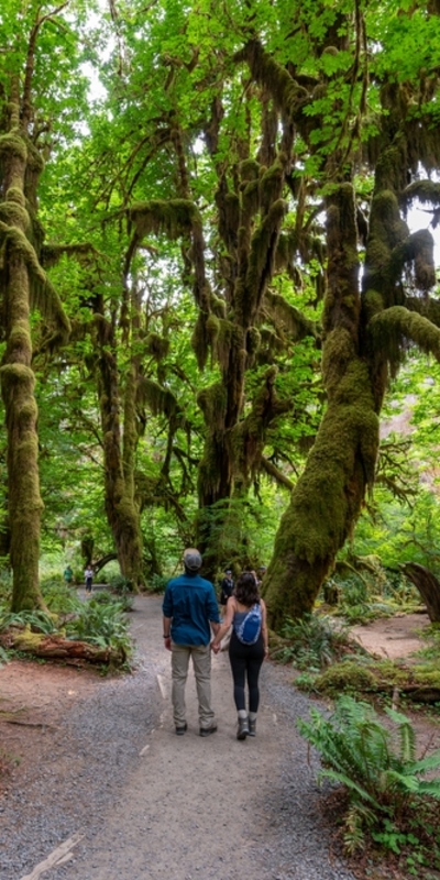  Doğanın fısıltılarını duyabileceğiniz yerler...