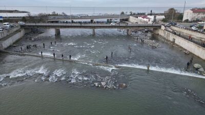 Kafes parçalandı, vatandaşlar akın etti!