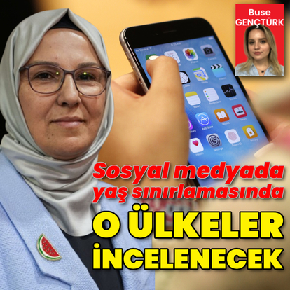 Japonya, Norveç, İngiltere ve ABD örnekleri incelenecek