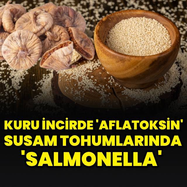 Kuru incirde 'Aflatoksin' susam tohumlarında 'Salmonella' bulundu