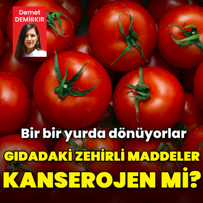  Gıdadaki zehirli maddeler kanserojen mi?