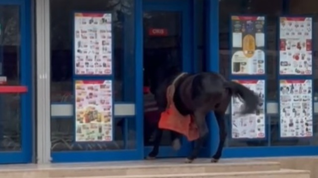 Adana'da ilginç görüntü! Atını markete bağladı