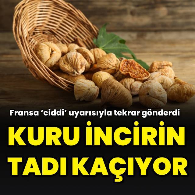 Fransa'ya giden kuru incirde de ‘zehirli ve kanserojen’ madde