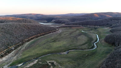 İstanbul'a su sağlayan barajda alarm!