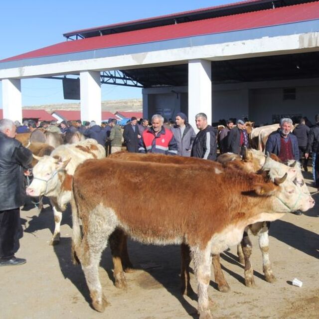 Bayburt'ta hayvan pazarı kapatıldı