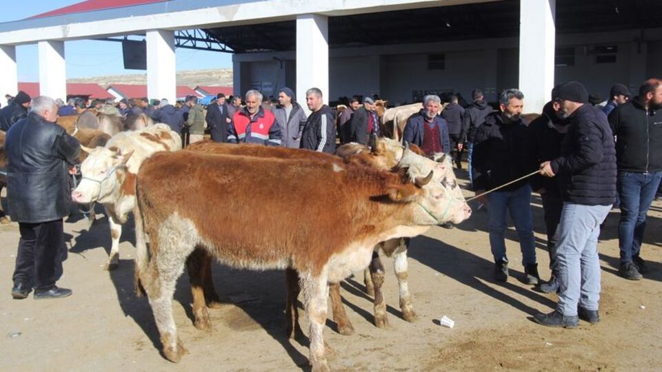 Bayburt'ta hayvan pazarı kapatıldı