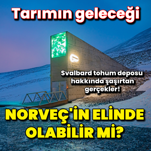 Tarımın geleceği Norveç'in elinde olabilir mi?