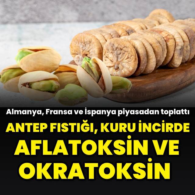 Almanya'ya giden Antep fıstığı, Fransa ve İspanya'ya giden kuru incirler piyasadan toplatıldı