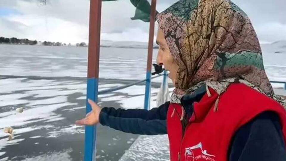 Çıldır Gölü'nde avlanamayan kuşları elleriyle besliyor