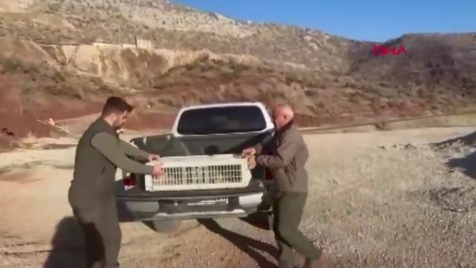 Şırnak'ta keklik avına 89 bin 261 TL ceza