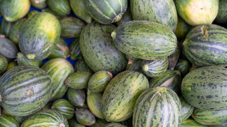 Kelek nasıl yenir, tüketilir?