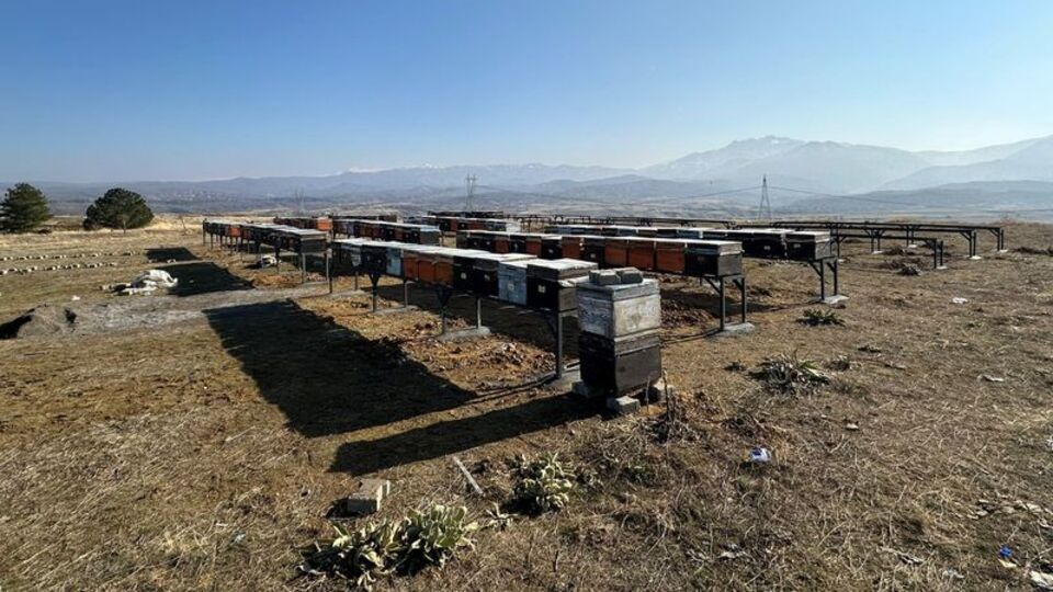 Bingöl'deki "Bal Ormanları"na kovan sehpası