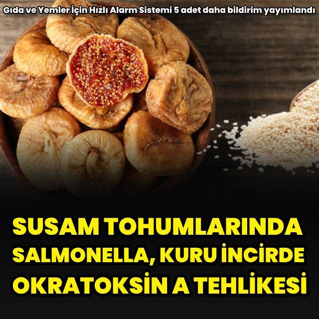 Susam tohumlarında ‘Salmonella’ kuru incirde ‘Okratoksin A’ tehlikesi