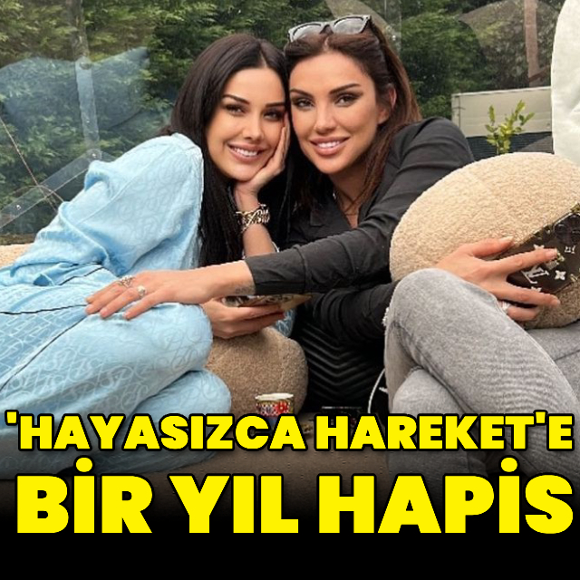 Bir yıl hapis istemi