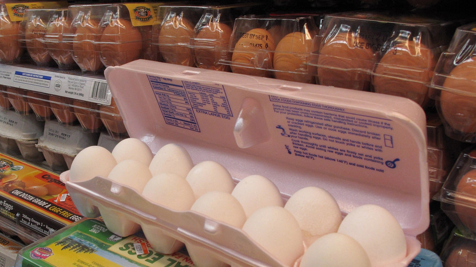 İzmir'de yaşandı! Yumurta toplarken feci son!