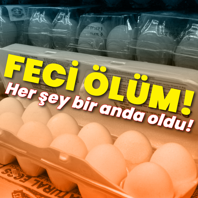 İzmir'de yaşandı! Yumurta toplarken feci son!