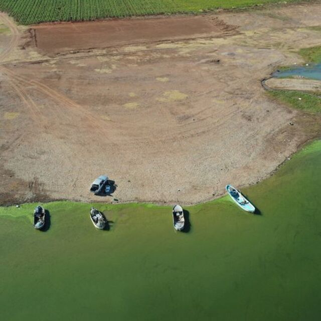  Kadın balıkçılar, ağlarını su altındaki eski mahallelerinde atıyor