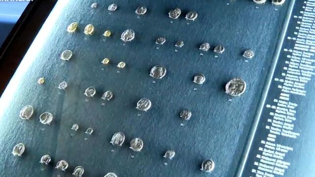 Bakan Ersoy açıkladı! 1055 sikke iade edildi