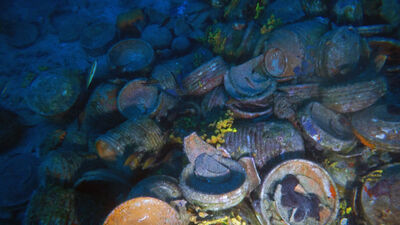  Ayvalık açıklarında keşfedildi! Çok iyi korunmuş