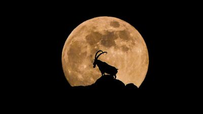 Bir arada fotoğrafladı! Hayali gerçek oldu