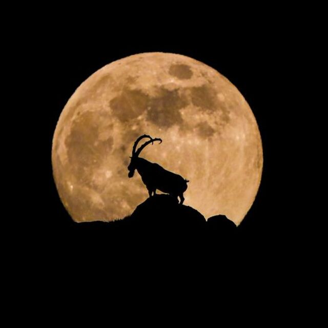  Bir arada fotoğrafladı! Hayali gerçek oldu