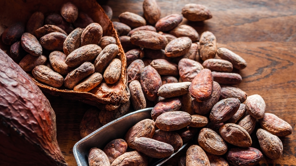 Kakao fiyatlarında yeni rekor