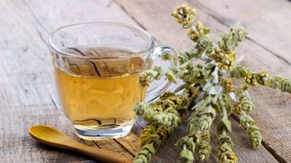 Dağ Çayı Faydaları Nelerdir?