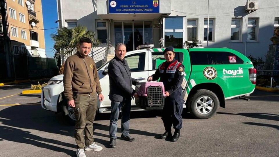 Sakarya'da kaçak avcıya 48 bin TL ceza