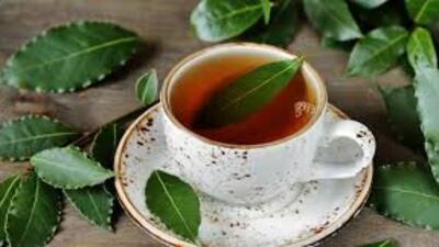 Defne Yaprağı Çayının Faydaları Nelerdir?