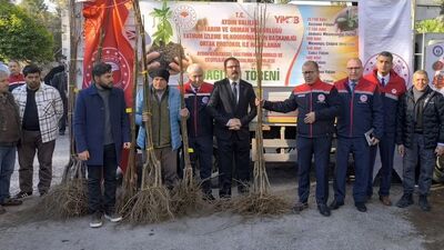 Sultanhisar'da 6 bin kestane fidanı dağıtıldı