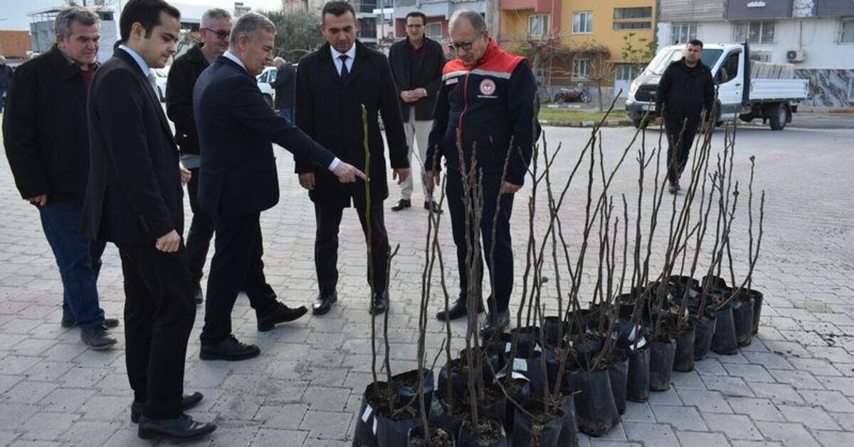 Aydın'ın ilk ilek bahçesi kurulacak