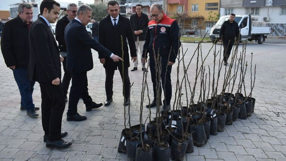Aydın'ın ilk ilek bahçesi kurulacak