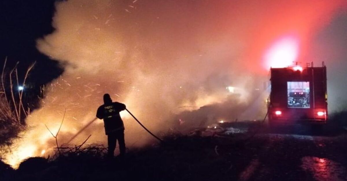 Hatay'da sazlık alanda yangın çıktı