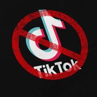 Arnavutluk'ta TikTok yasağı