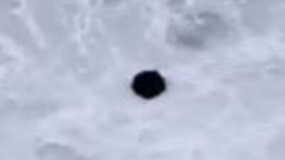 Şile'deki sahilde deniz mayını bulundu