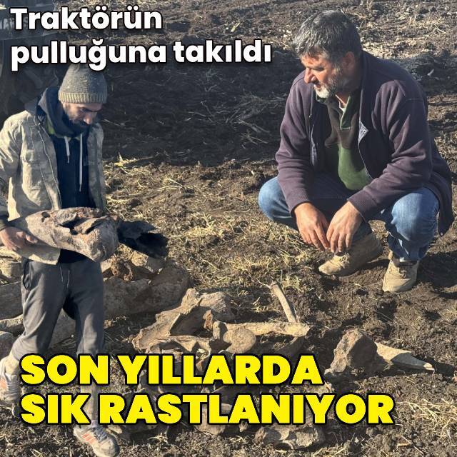Traktörün pulluğuna takıldı! Son yıllarda sık rastlanıyor