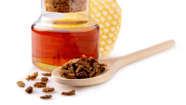 Propolis cilde faydaları ve zararları