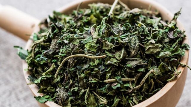 Isırgan otu nasıl yenir, tüketilir?