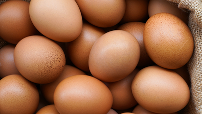 Pestisit en çok onları vuruyor