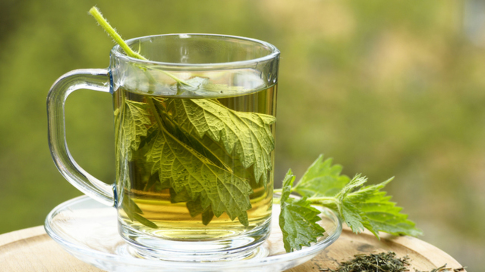 Isırgan otu çayı faydaları nelerdir?