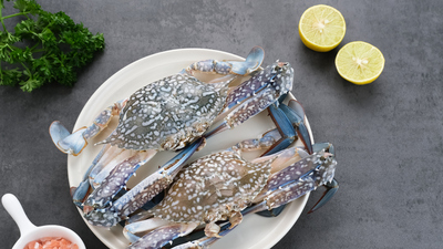 Mavi yengeç nasıl yenir?