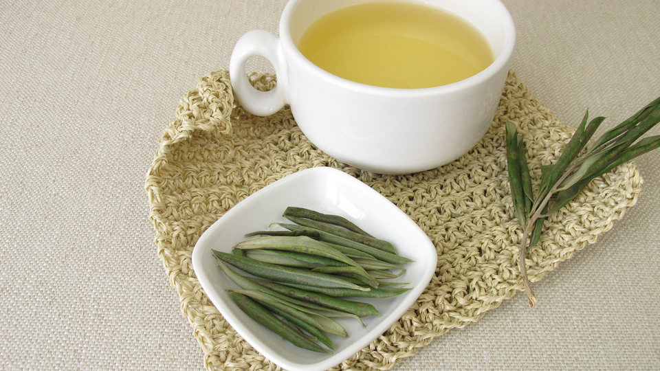 Zeytin yaprağı çayı faydaları nelerdir