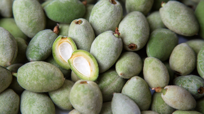 Çağla nasıl yenir, tüketilir?