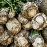 Kışın gözde sebzesi kerevizin şifa dolu faydaları