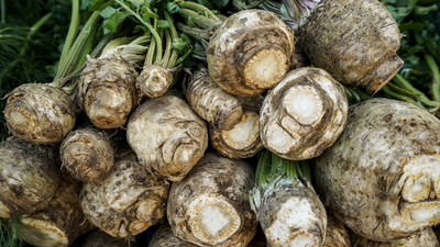 Kışın gözde sebzesi kerevizin şifa dolu faydaları