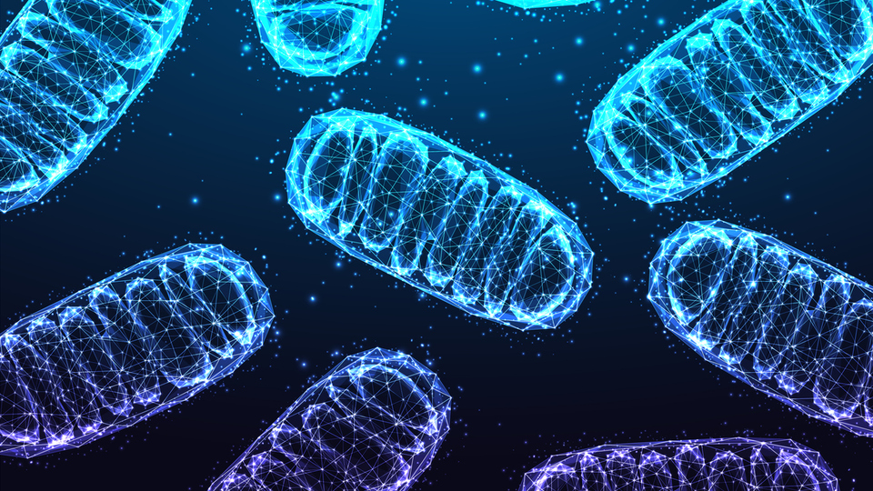 Çocuklarda sık görülen kıl kurdu nasıl tedavi edilir?